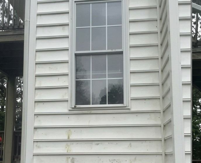 House siding covered in green algae and mildew