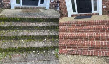 Steps Renewal